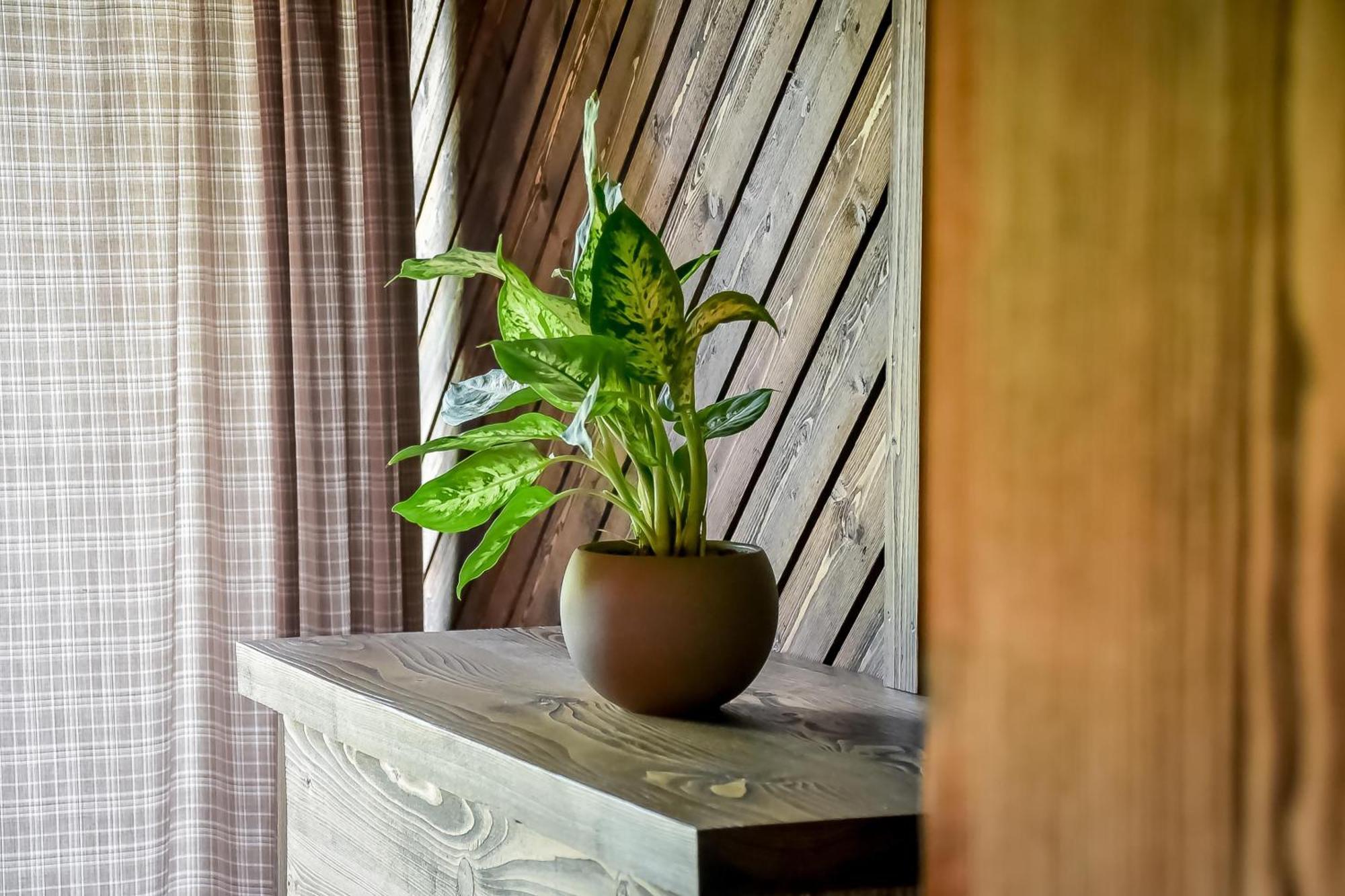 Superior Chalet